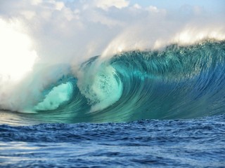 Exploring tropical island of tahiti