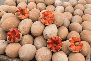 Sapodilla fruit on a counter