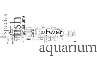 Different Types of Saltwater Aquariums