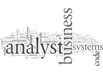 difference between systems analyst and business analyst