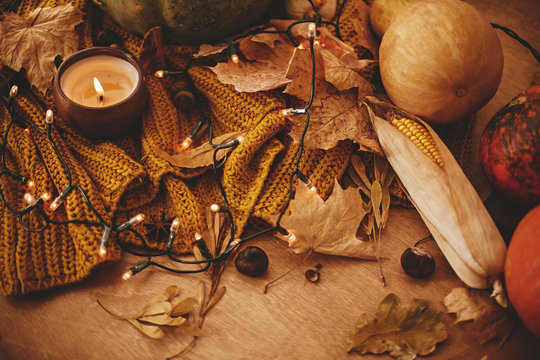 Pumpkins with candle, lights ,autumn leaves, corn, nuts ,chestnuts, cinnamon and dried berries on yellow knitted sweater on rustic table. Cozy autumn atmospheric image. Happy Thanksgiving