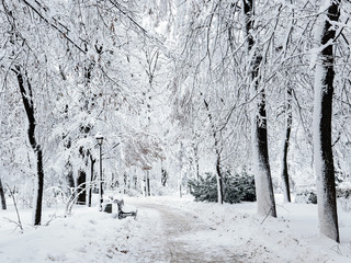 Winter city park