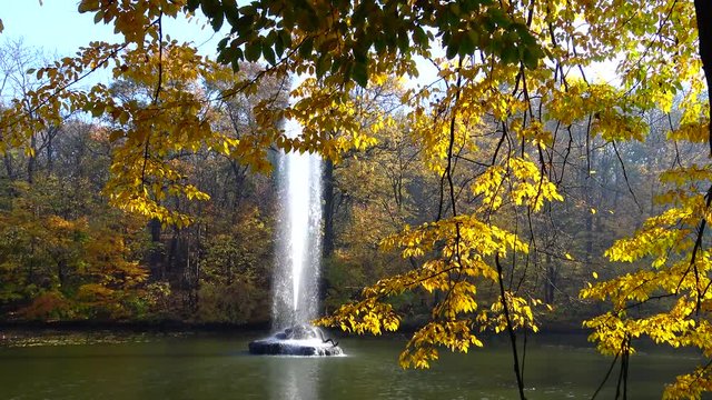 Fountain in the lake in Sofievsky park, Uman, Ukraine
