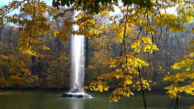 Fountain in the lake in Sofievsky park, Uman, Ukraine