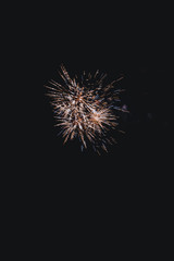 Obraz premium fireworks in the night sky