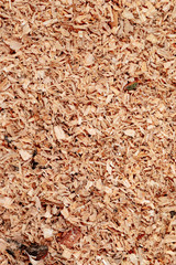 Sawdust or wood dust texture background. Wood sawdust background closeup. Sawdust floor texture. Top view. Saw dust texture, close-up background of brown sawdust.