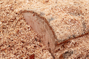Sawdust or wood dust texture background. Wood sawdust background closeup. Sawdust floor texture. Top view. Saw dust texture, close-up background of brown sawdust.