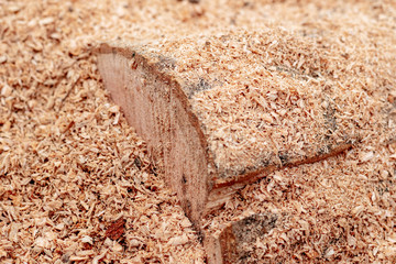 Sawdust or wood dust texture background. Wood sawdust background closeup. Sawdust floor texture. Top view. Saw dust texture, close-up background of brown sawdust.