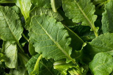 Raw Green Organic Baby Kale Superfood