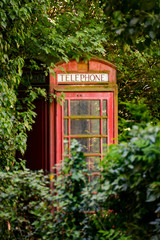 Obraz premium Telefonzelle telephone booth Box englisch british alt Vintage Schrott vergessen lost place Kommunikation analog Great Britain rot Nostalgie Gebüsch Verfall Vegetation Symbol Sinnbild Vergangenheit