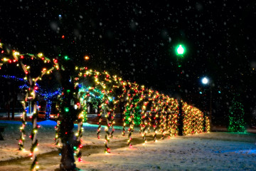Fototapeta na wymiar Illuminated Christmas walk