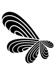 künstlerisch blume abstrakt schwarz muster tropfen wasser nass cool design style streifen striche linien schön dekorativ feucht fallender