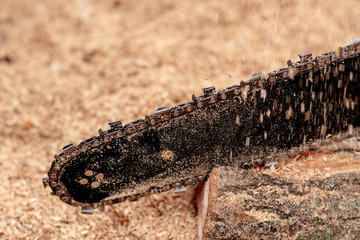 Closeup view of a chainsaw bar and cutting chain. Dirty blade of a chainsaw. Blade of a chainsaw in the garden, copy space