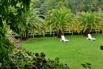 Joli jardin avec chaise longue sous des palmiers en Bretagne