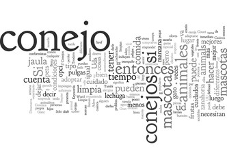 Conozca a los Conejos y sus Cuidados