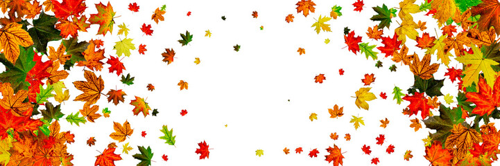 Leaves pattern. October abstract falling background. Autumn concept