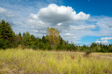 Obraz premium Laurentians parks and wildlife reserves