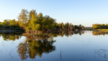 Fototapeta na wymiar landscape with trees reflected in a lake at a wetlands conservation area under a cloudless sky