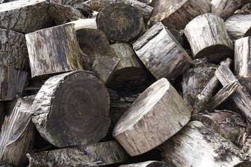 Brennholz Stücke auf einem Haufen