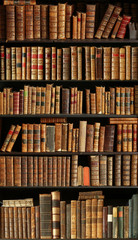 old books on wooden shelf © RPL-Studio