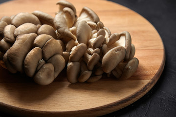 Oyster mushrooms, wooden cutting board on black background. Group of uncooked edible mushrooms on dark stone table, food ingredient