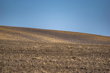 Plowed and sown field in autumn day