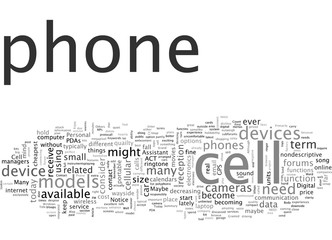 Cell Phone or PDA