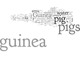 Cavy Care Is A Guinea Pig Right For You