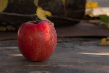 Red Apple laid out on a metallic floor
