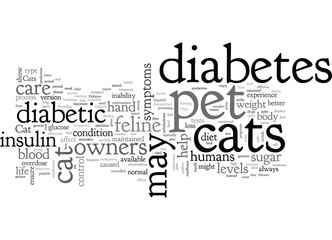 cat care and diabetes