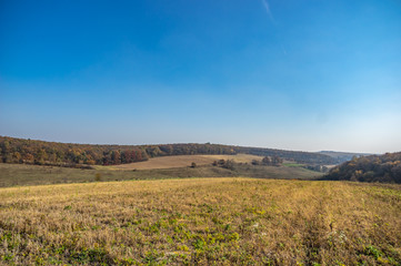 Fototapeta na wymiar Sown field in autumn day