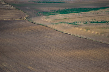 Sown field in autumn day