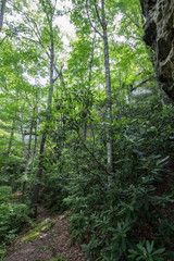 Natural Arch Scenic Area, Kentucky
