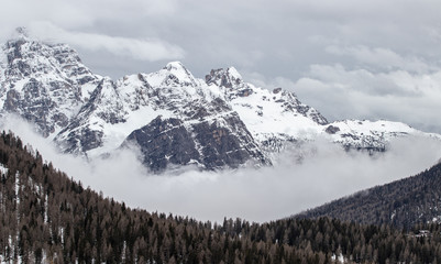 A fog in the snowy valley of spruce trees and rocky mountains in background