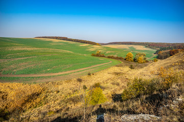 Sown field in autumn day