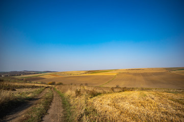 Sown field in autumn day