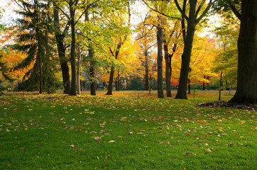 Property of the Governor General of Canada in Ottawa During Autumn Season