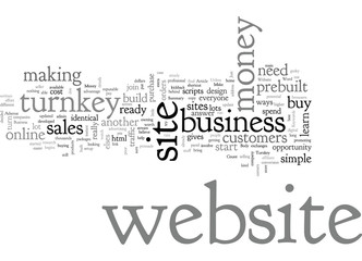 Can You Make Money With A Turnkey Business Website
