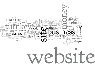 Can You Make Money With A Turnkey Business Website