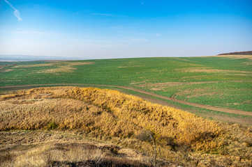 Sown field in autumn day