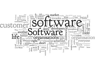 Can Software Get It Right For Business Owners And Professionals