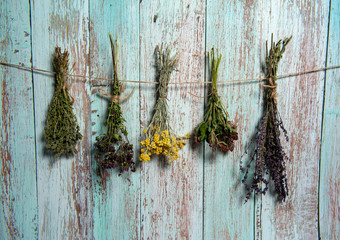 Herbal treatment. Bundles of dried herbs and aromatic herbs. Tansy, thyme, sage, clover and oregano hang on a light blue wooden background.