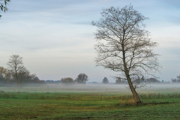 Jesień, krajobraz pradoliny Warszawsko-Berlińskiej © Piotr Szpakowski