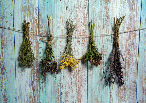 Herbal treatment. Bundles of dried herbs and aromatic herbs. Tansy, thyme, sage, clover and oregano hang on a light blue wooden background.