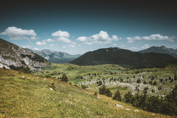 Fototapeta na wymiar Landscape in mountain 