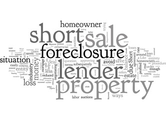 Fototapeta premium Can A Lender Profit From A Short Sale