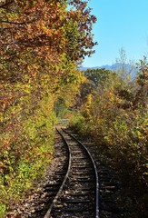 Fototapeta na wymiar a railway among the yellowed trees