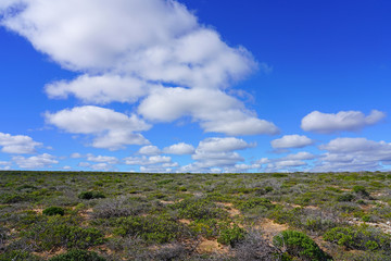 Fototapeta na wymiar View of the coastal cliffs Kalbarri National Park in the Mid West region of Western Australia.