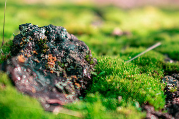 moss stone