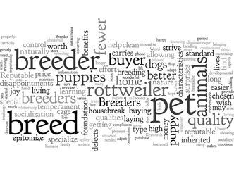 Buy from a Reputable Breeder